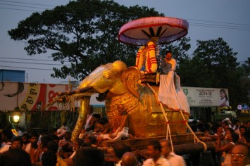Side view of the Elephant Vehicle