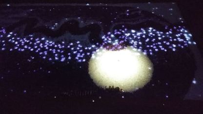 Video Installation Picture 2