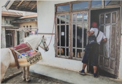 Photos from horse library exhibit 2